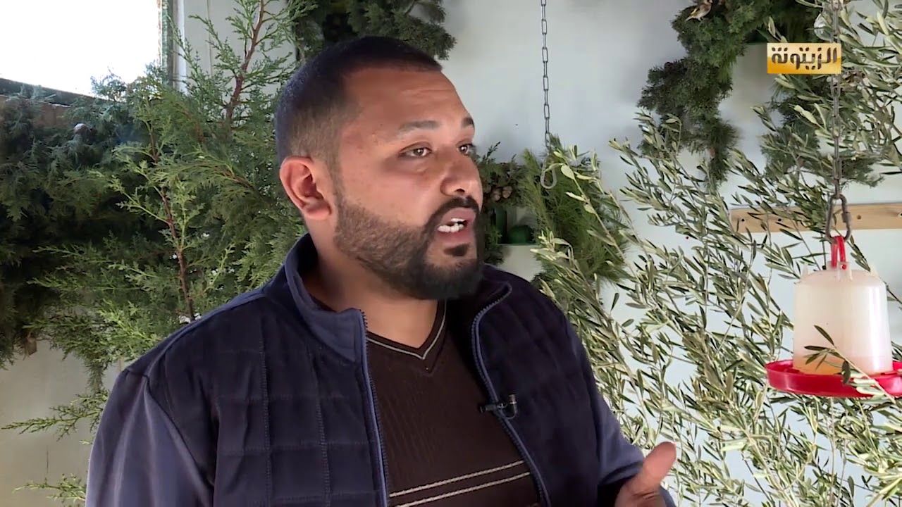الجزء الثالث من برنامج مغرومين تربية الكناري والحسون