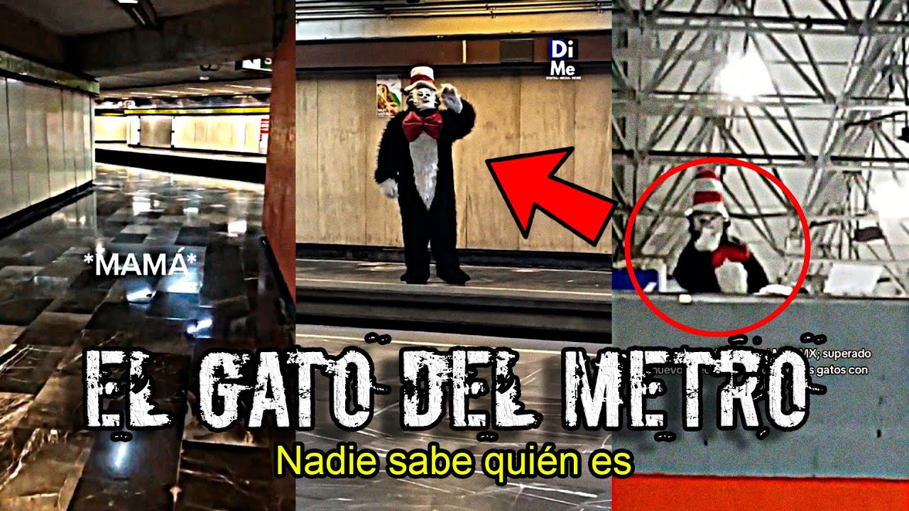 EL Perturbador GATO del SOMBRERO en el METRO de la CDMX