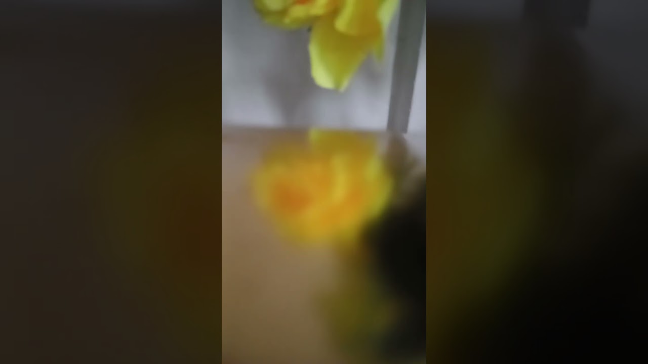 Hey unuh listen ya big mouth SSAY had serious man problem and a do AK so with her mouth can u belie