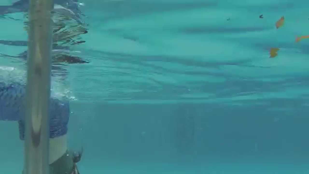 My first swim!