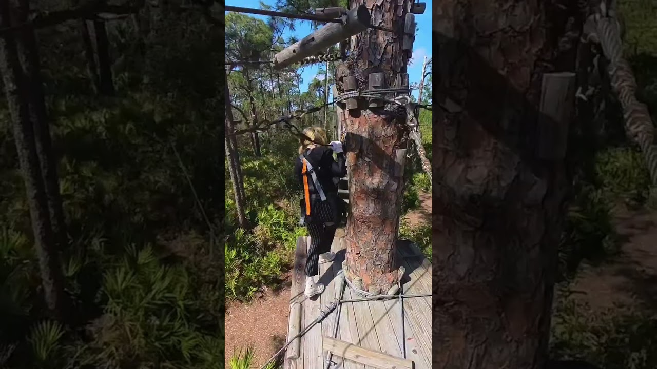 Treeumph adventure course 2026