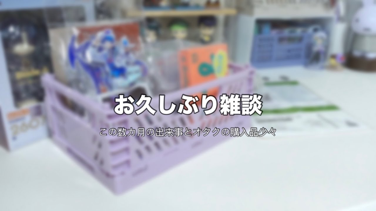 ［雑談］近況のお話＆ちょっとだけ購入品紹介｜Seria｜エイトリ｜鳴潮