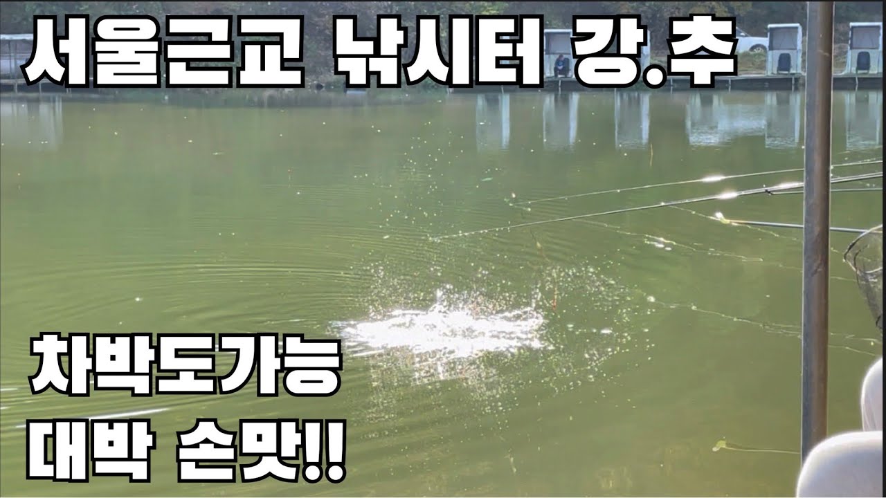남양주 차박 낚시 포인트 금남저수지 화도낚시공원 5짜 향어에 참붕어까지 손맛 짱!!