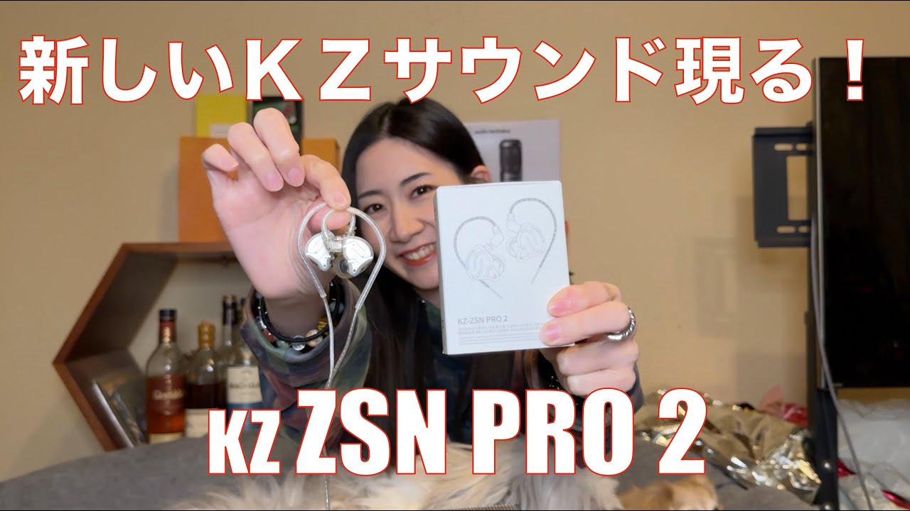 【 KZ ZSN PRO 2 】暴れん坊だったKZサウンドが進化した！　また新しいKZサウンド誕生！【提供でもガチレビュー】