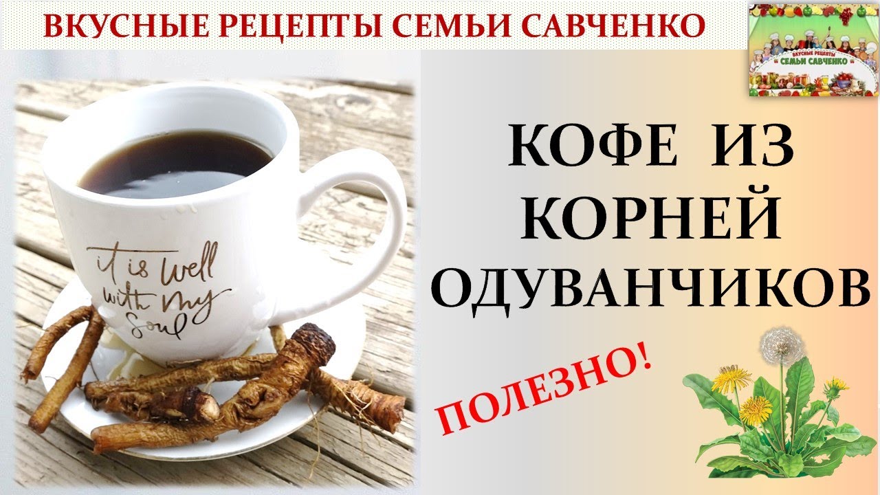 Как приготовить кофе из корней одуванчиков? Полезные рецепты Семьи Савченко