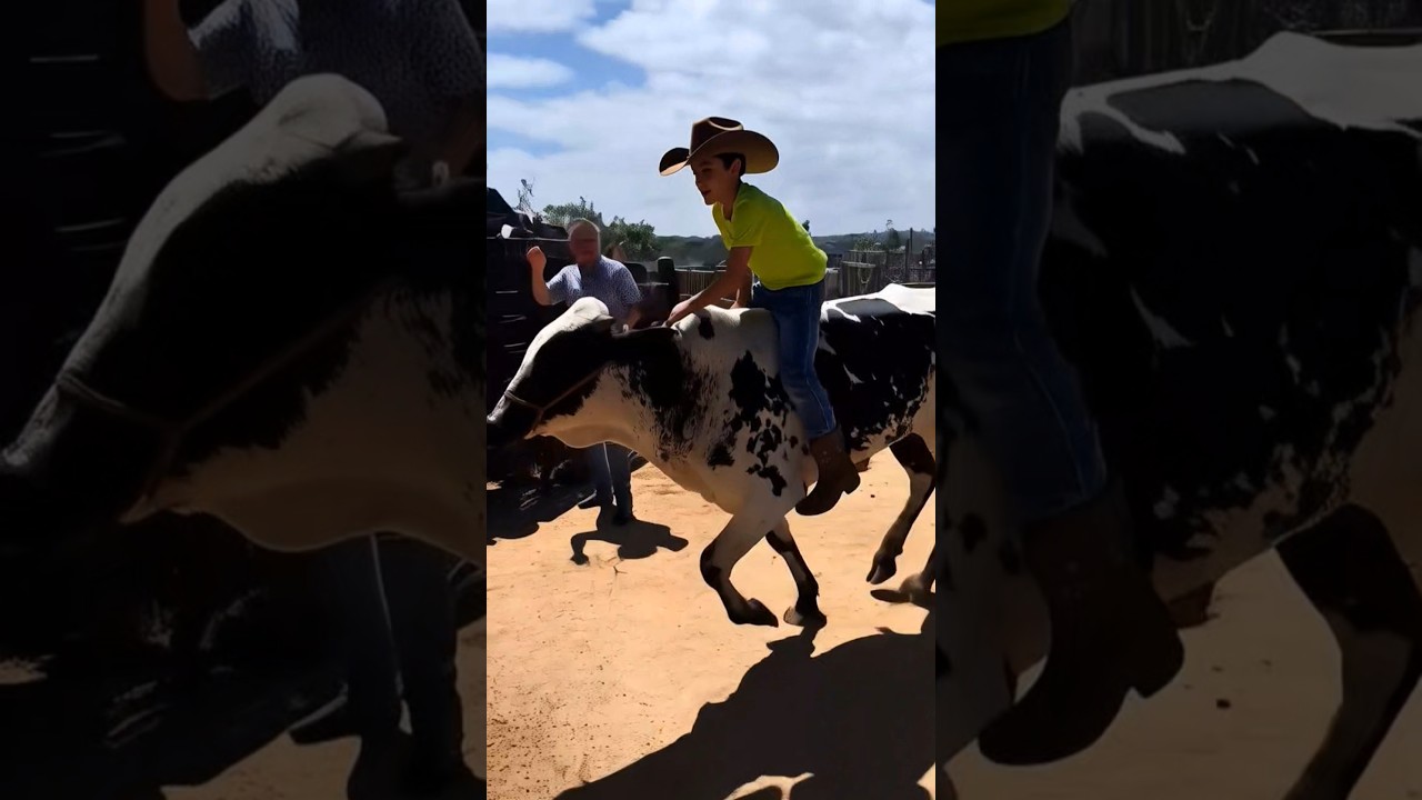 MINI COWBOY vs TOURO! 😂 