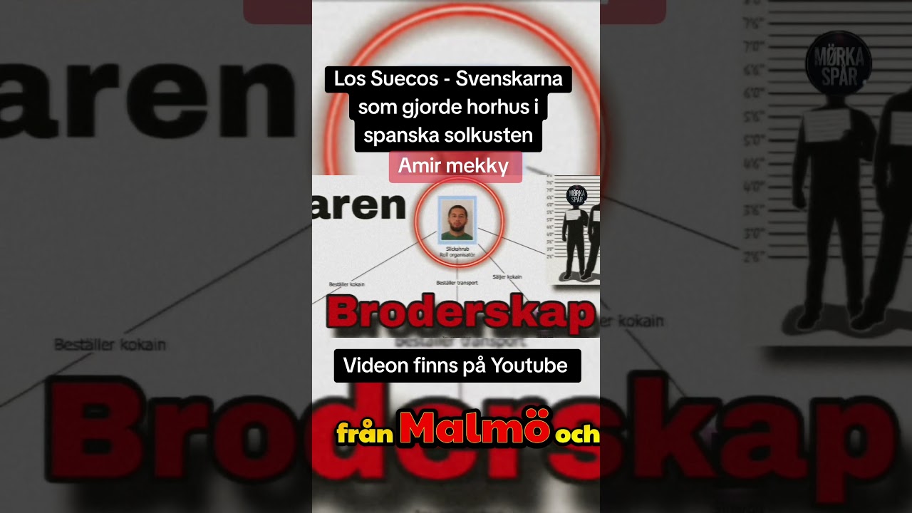 Los suecos fr&aring;n Malm&ouml; gator till spanska solkusten , Amir mekky
