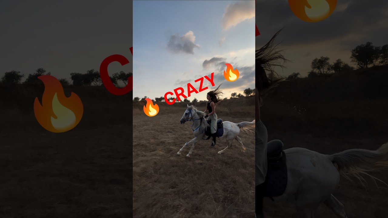 Arabic horse riding || Crazy horse rider #horseriding