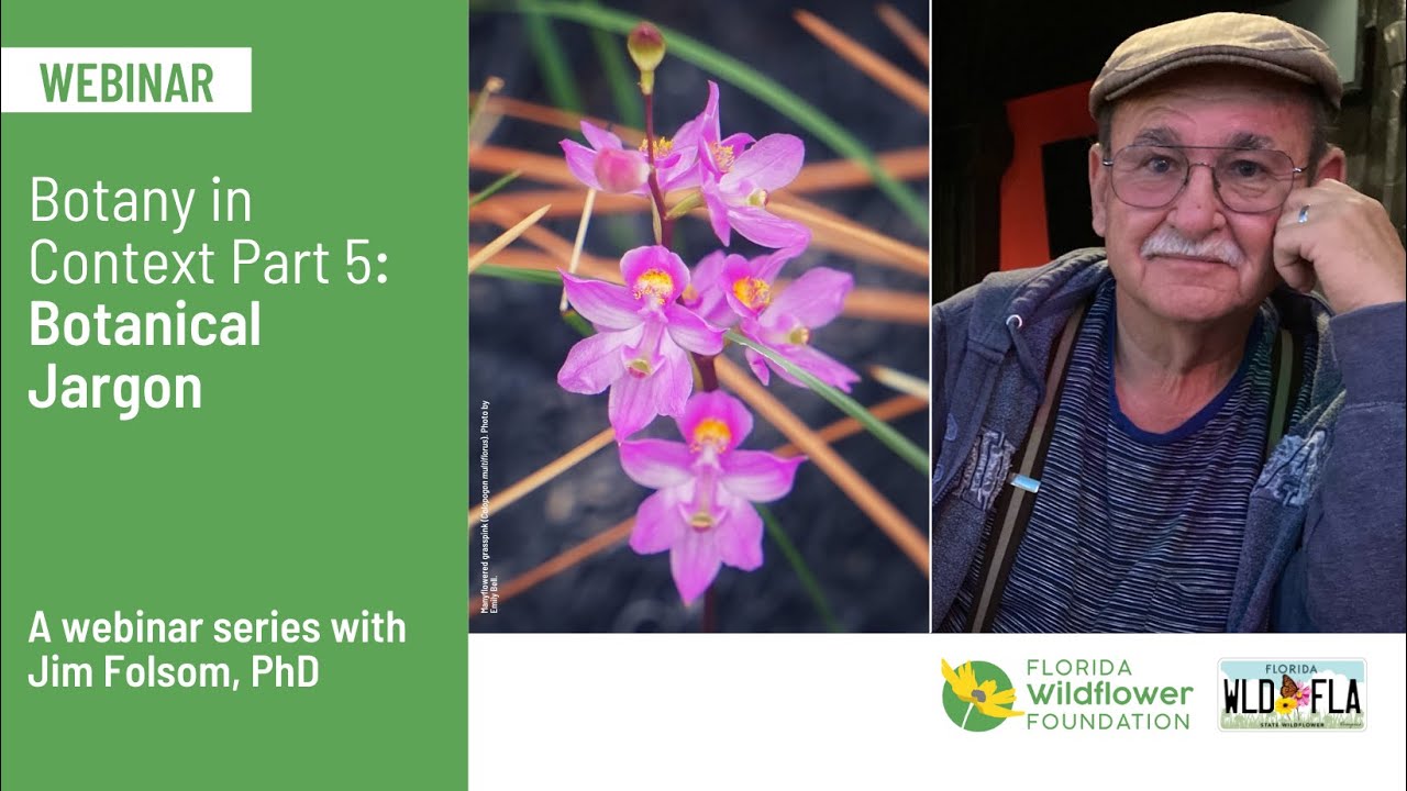 Botany in Context Part 5: Botanical Jargon