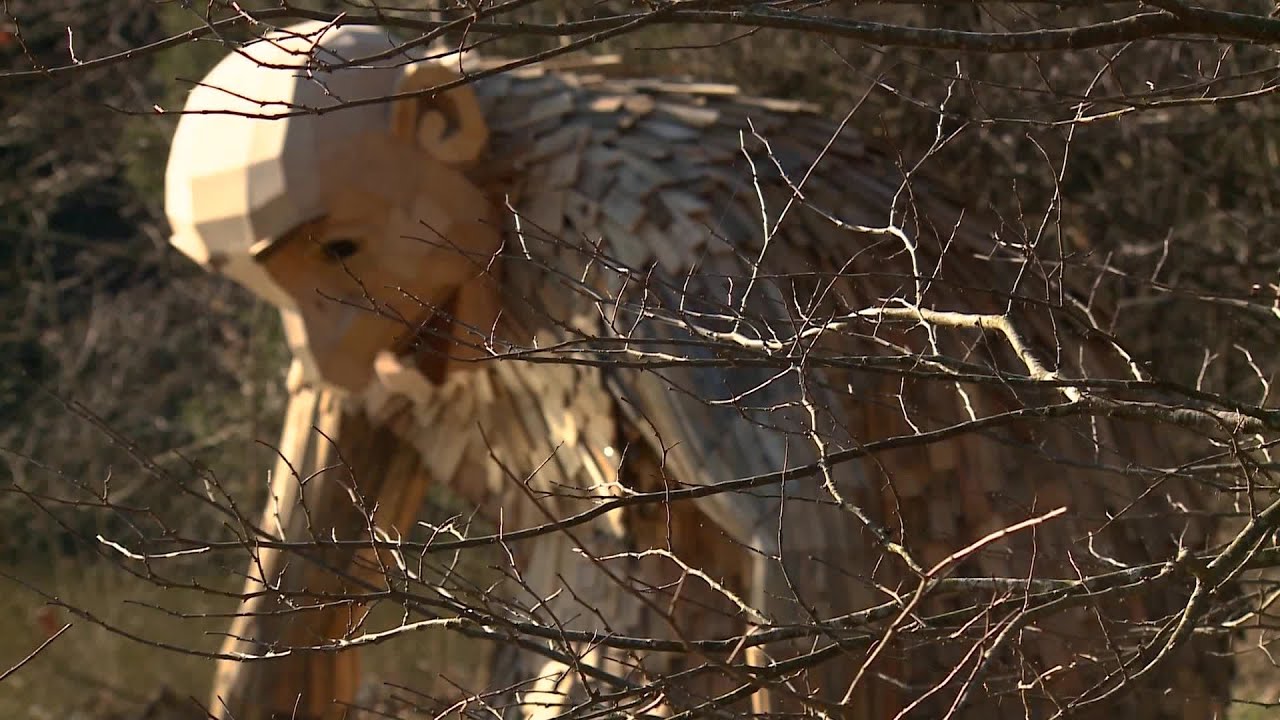VIDEO: Giants at Bernheim Forest