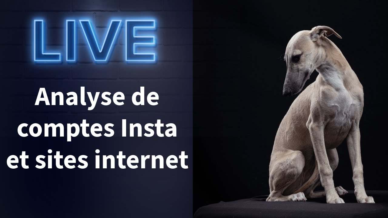 Analyse de TON compte Insta et site internet