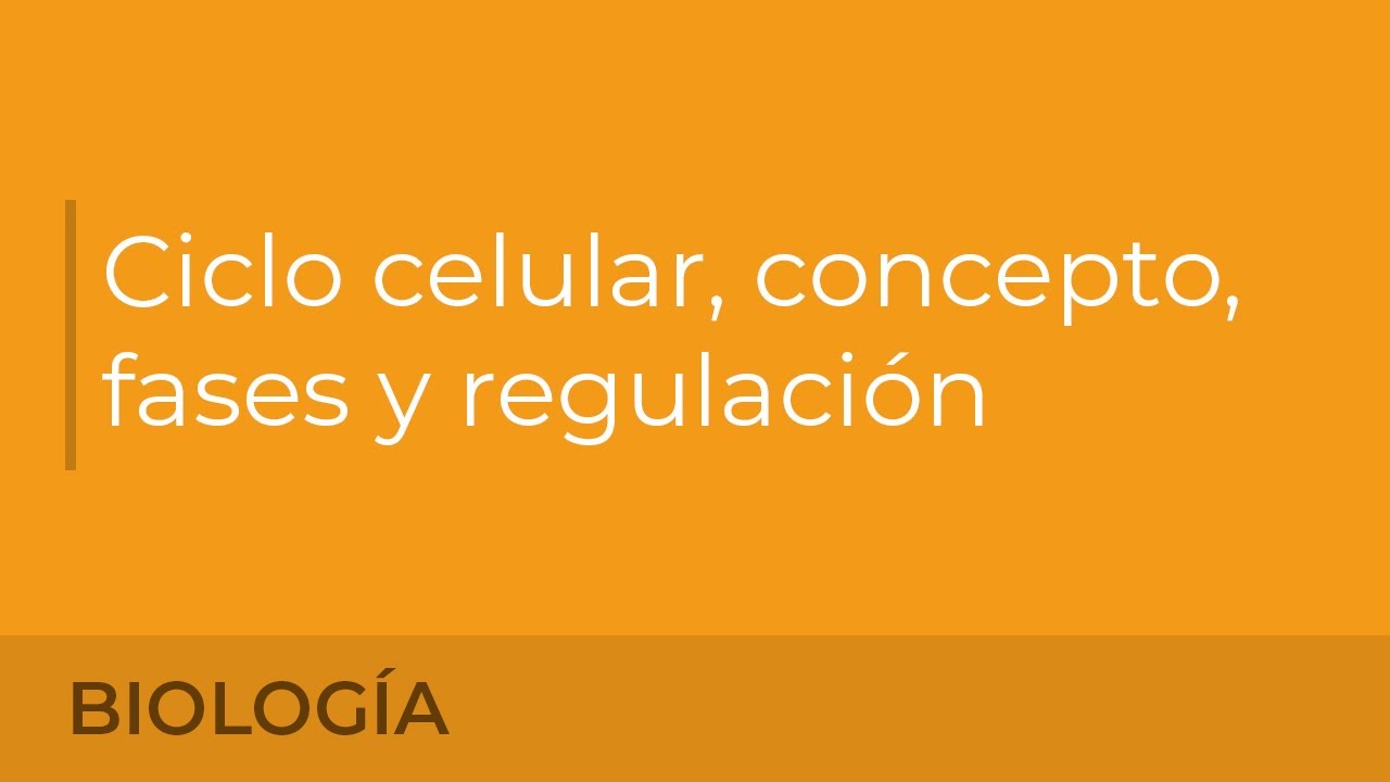 Ciclo celular: concepto, fases y regulaci&oacute;n.&nbsp;Mar de Pablo Mir&oacute;