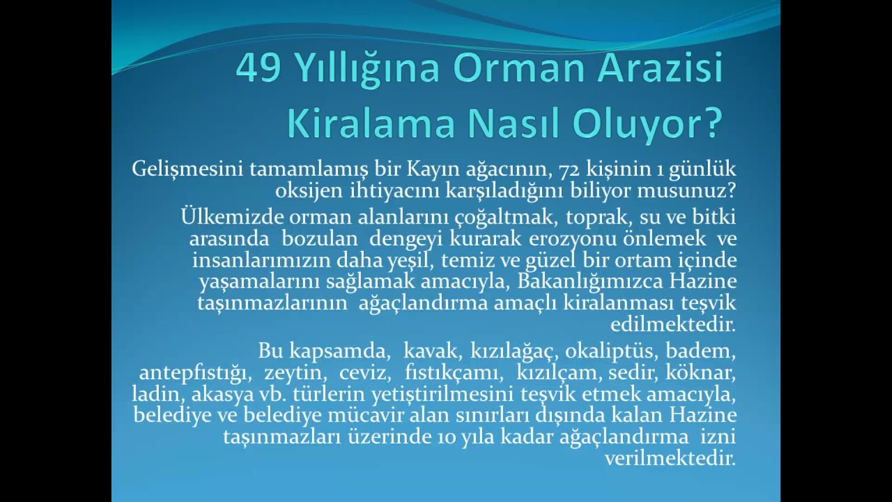 49 Yıllığına Orman Arazisi Kiralama