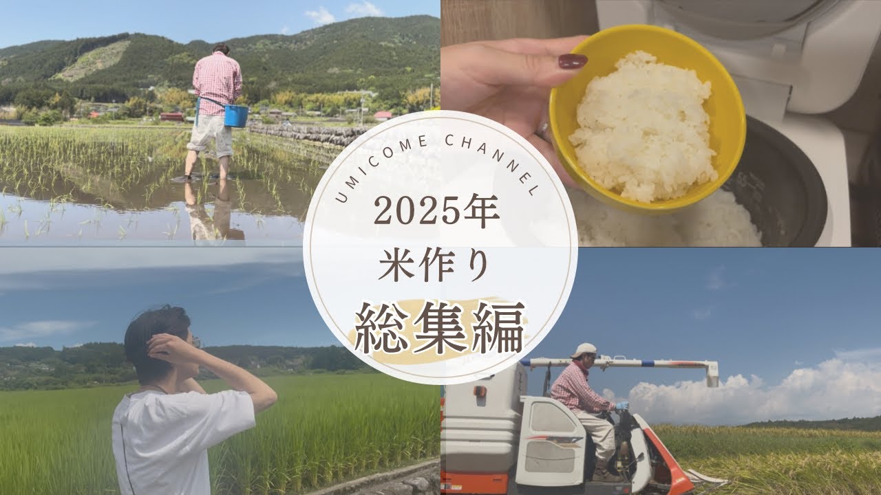 2025年ペーペー米農家総集編。