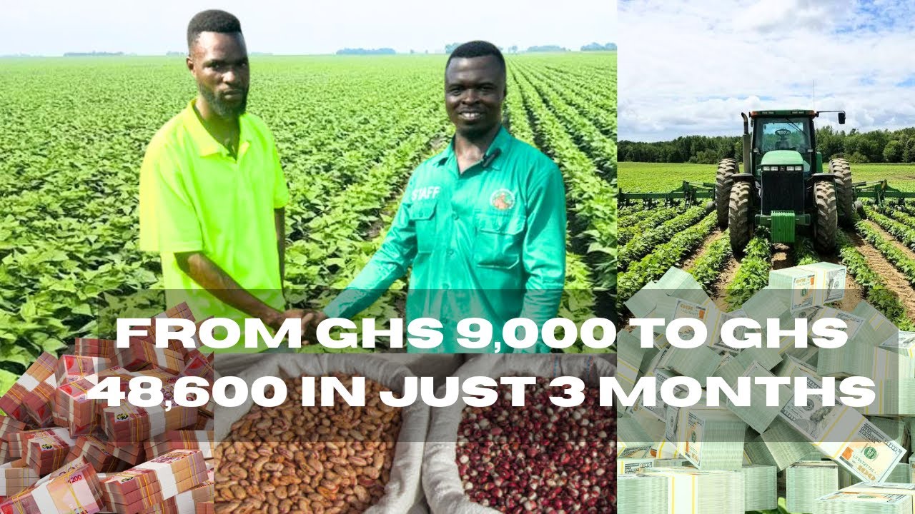 GHS 48,600 PROFIT FROM GHS 9,000 INVESTMENT IN BEANS FARMING