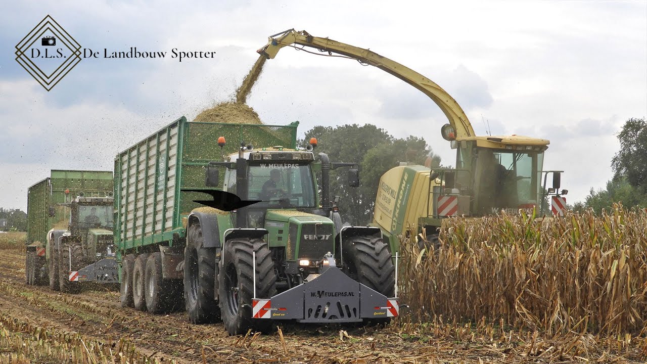 2 X Fendt Favorit 926 | Krone Big X 650 + 10 rows | Mais Silage