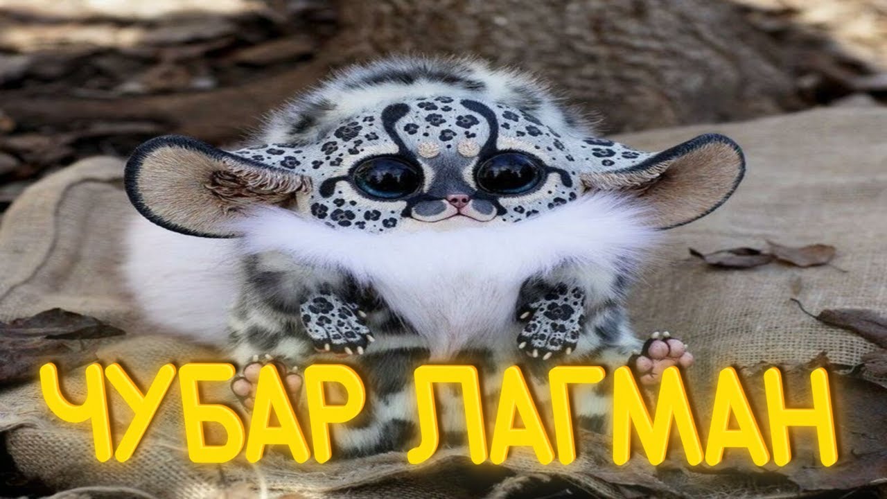 ПРИКОЛЫ ОТ ЧЕЛОЗАВРА 2025 / ЧУБАР ЛАГМАН / СМЕШНЫЕ ВИДЕО / МЕМЫ
