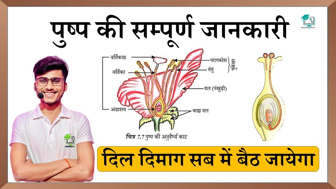 phool ke bhago ka naam || pushp ki sampurn jankari || by pankaj sir