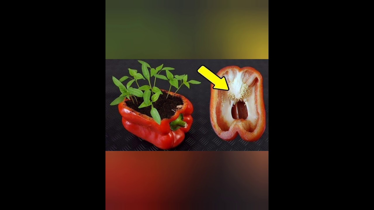 Diy nasveti za vrtnarjenje #vrt #mamanaredijimsama #pomlad