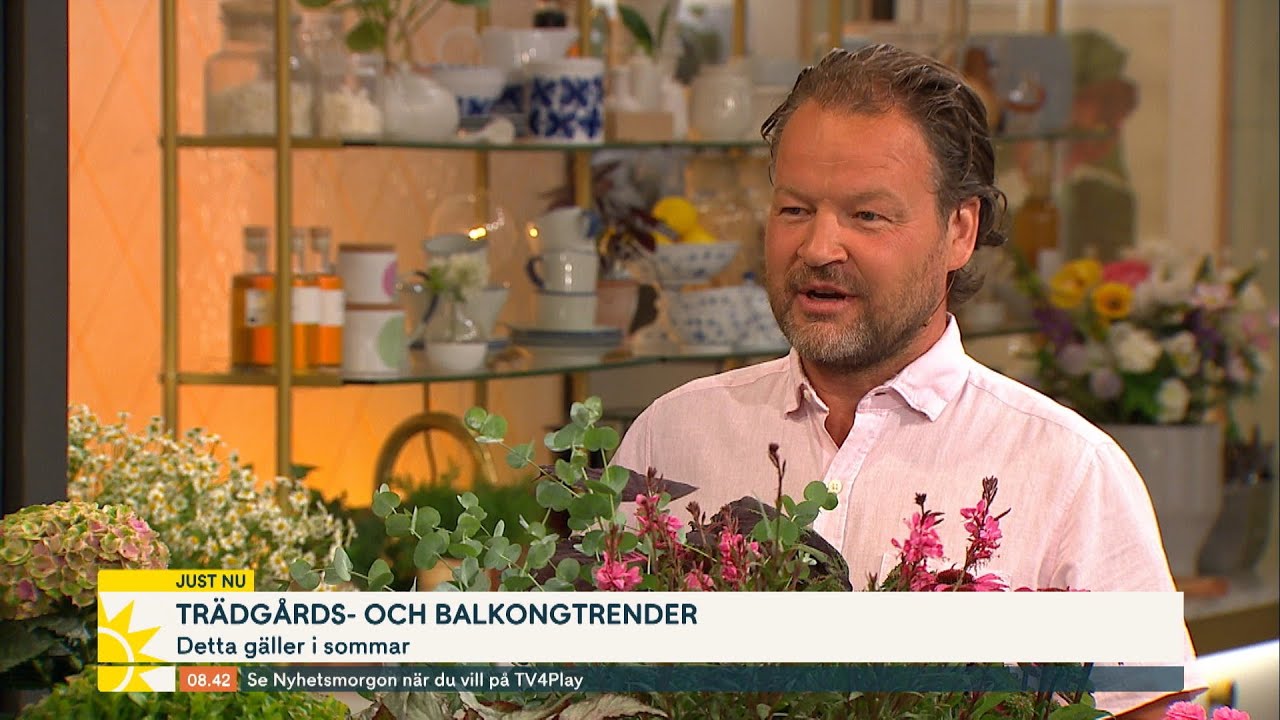 Hortonomens bästa trädgårdstips – ”Bambu kan växa otroligt fort” - Nyhetsmorgon (TV4)