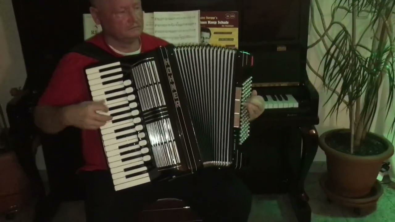 Klangprobe nach der Reparatur Hohner 96 Bässe 