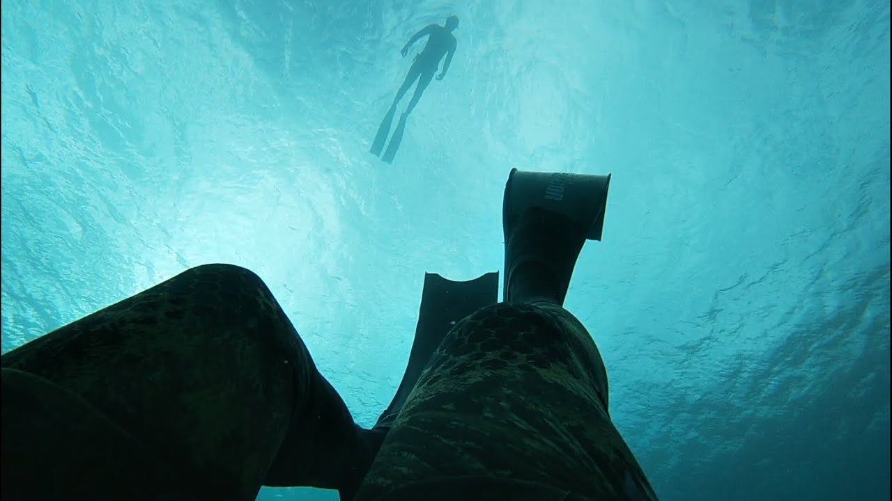Corvine d'inverno - (con coppiola finale) - Pesca in apnea Sicilia