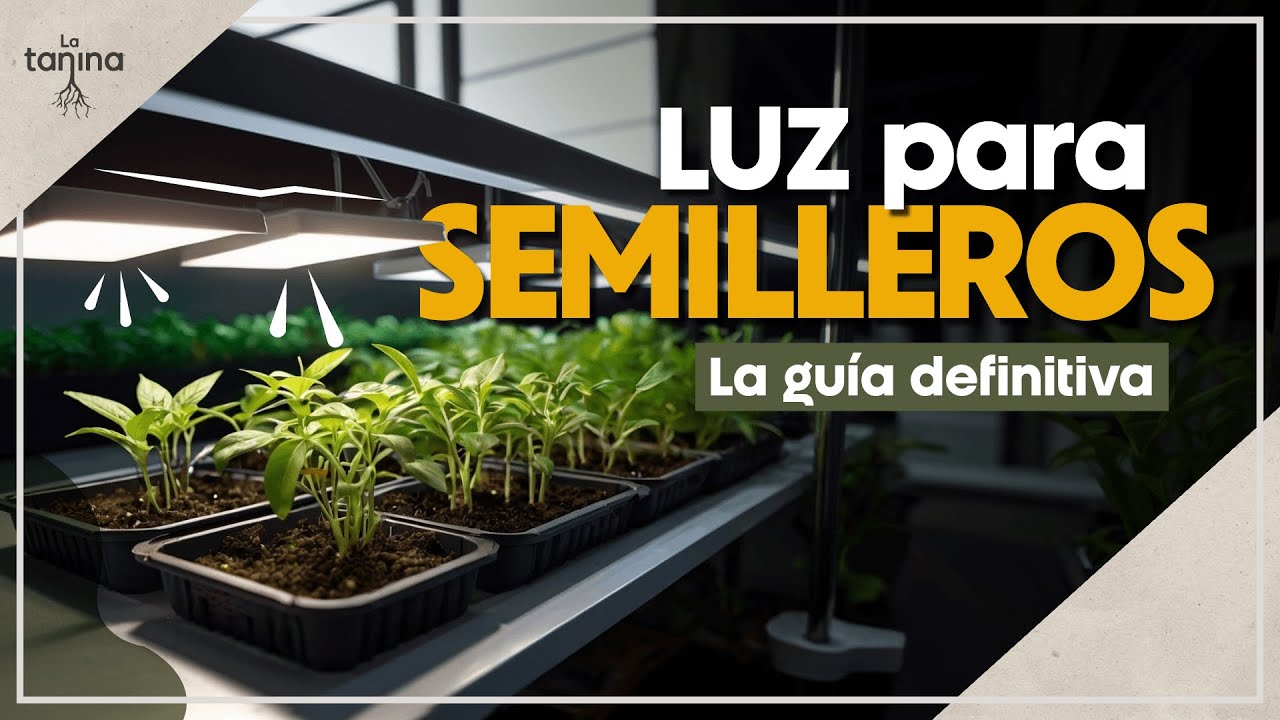 💡 Luz para semilleros: ¡TODO lo que necesitas saber! (consejos, trucos y más)
