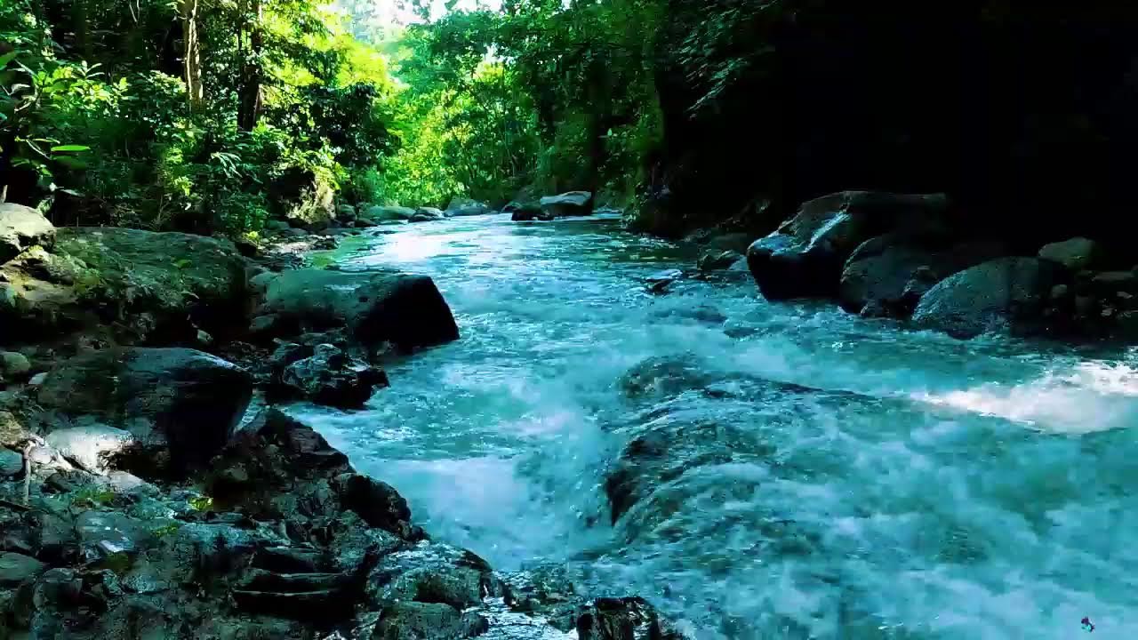 Tranquil River Sounds & Cozy Ambience for Relax and Stress Relief