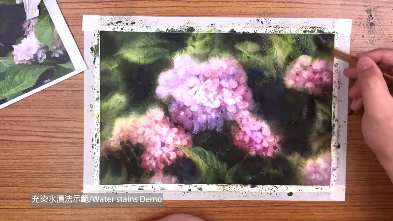 充染水漬法示範Water-stain technique     繡球花 Hydrangea