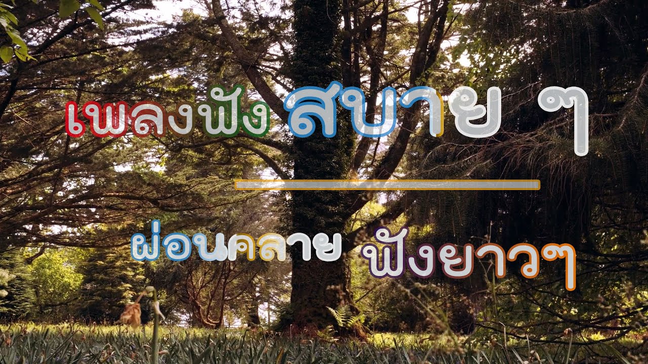 เพลงฟังสบาย ๆ ชิว ๆ ผ่อนคลาย ฟังยาวๆ ไม่มีโฆษณา