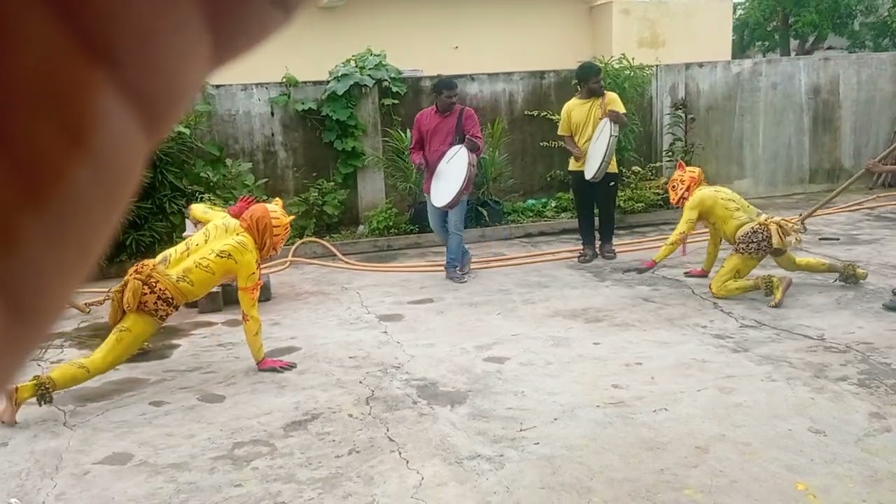 Potharam Moharram peddapuli