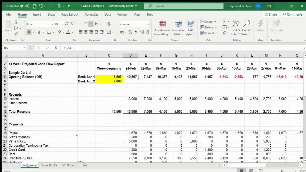 13 Week Cash Flow