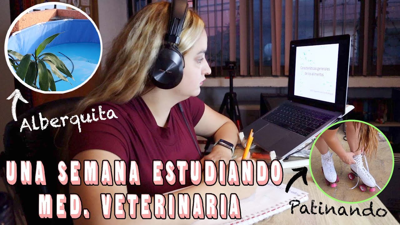 📝Primer SEMANA del ZOOMESTRE conmigo & 🏖Poniendo mi ALBERQUITA(Medicina Veterinaria)#EleSilvaVlogs