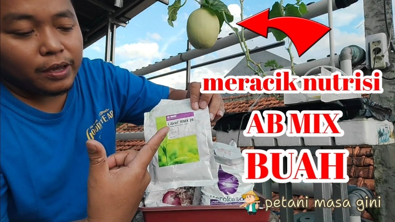 MERACIK NUTRISI AB MIX BUAH.