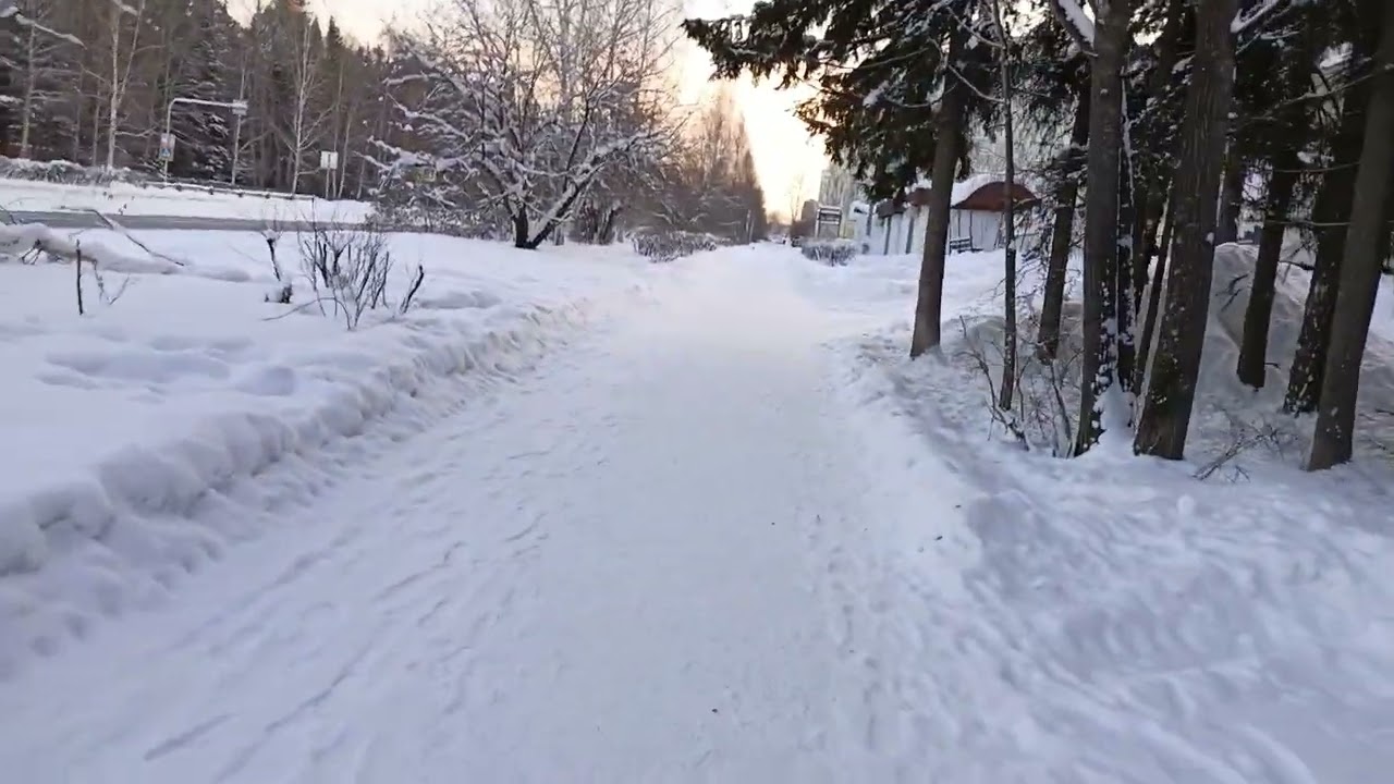 Первая прогулка в 2025г.