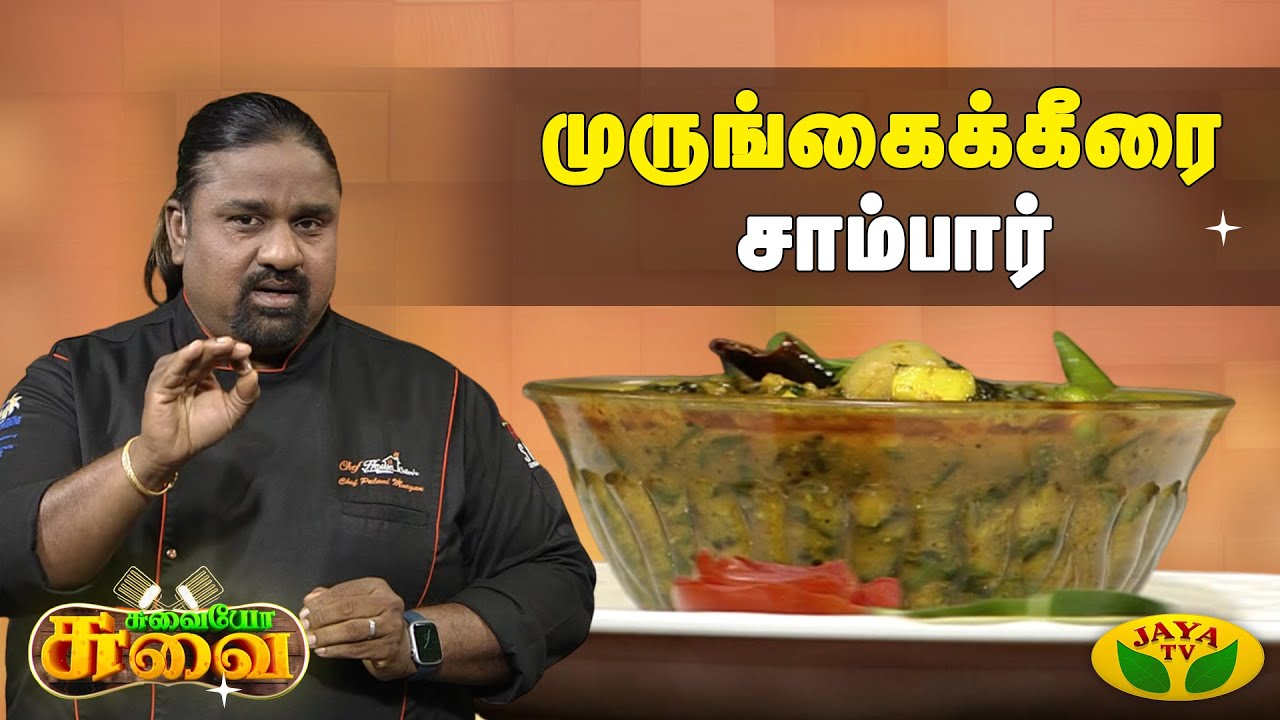 சுவையான முருங்கைக்கீரை சாம்பார் செய்வது எப்படி? | Chef Palani Murugan | Suvaiyo Suvai | Jaya Tv