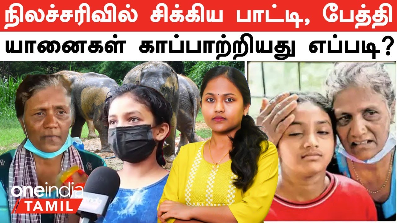 Wayanad Landslide -ல் தப்பி யானையிடம் சிக்கிய பாட்டி, பேத்தி...அடுத்த நொடி நடந்த நெகிழ்ச்சி சம்பவம்