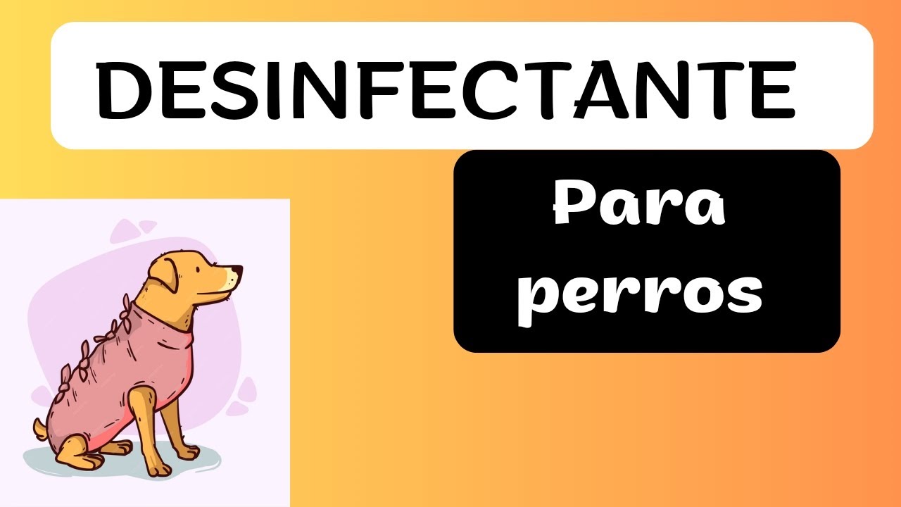 Clorhexidina: El Guardián de la Salud Canina 🐾 | Desinfectante Eficaz para Heridas