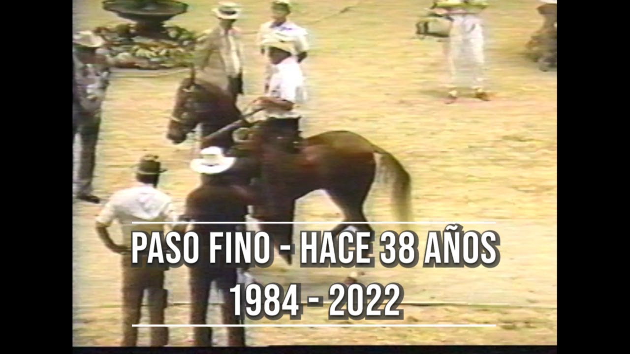 COPA MUNDIAL DE PASO FINO 1984 GUAYNABO PUERTO RICO
