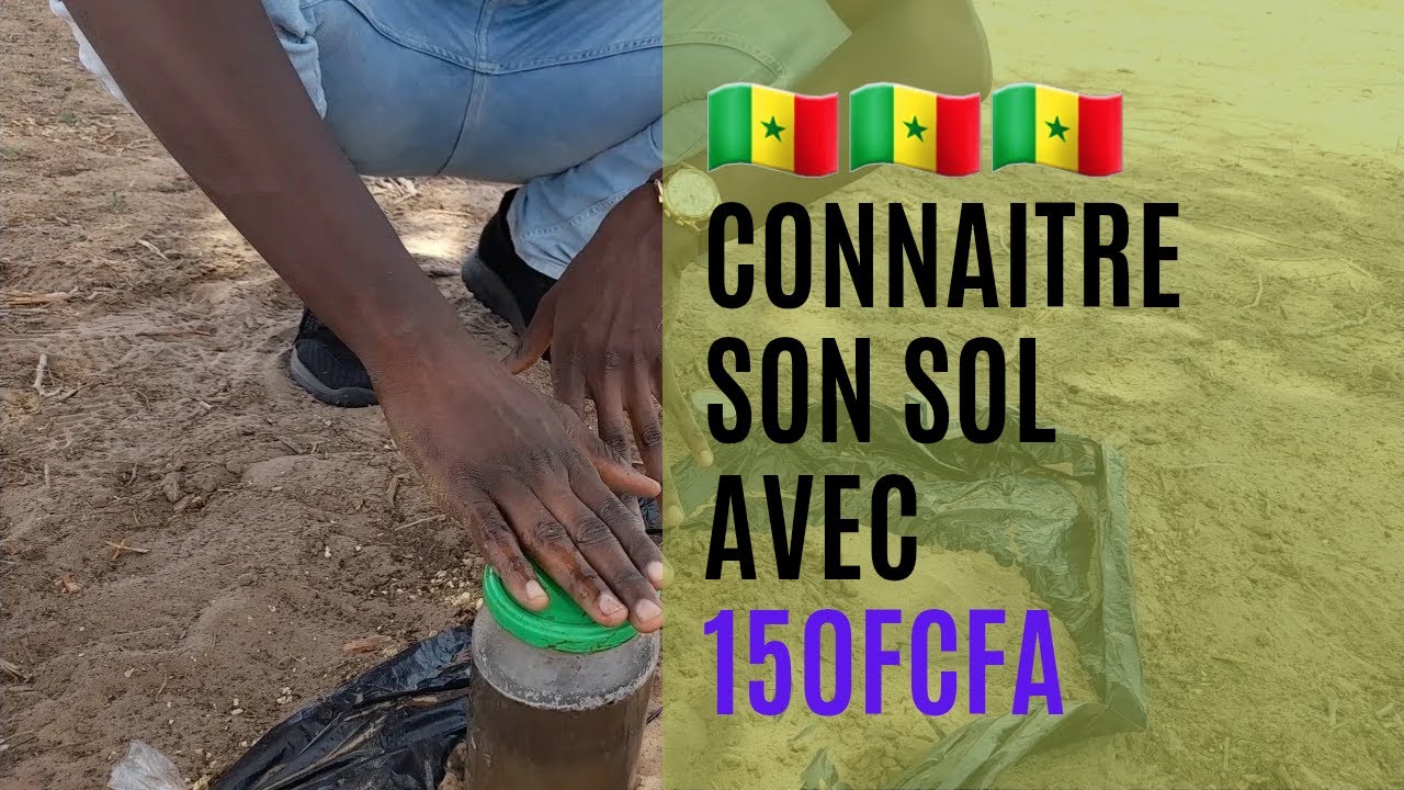 Ep5: Analyser son sol soi même au Sénégal