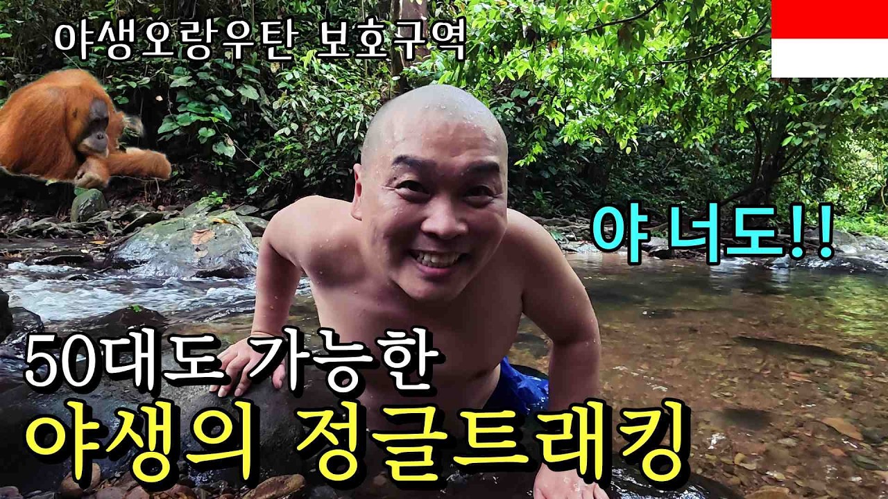 오랑우탄이 사는 정글 속으로 트래킹을 떠난 50대 노총각이 살아남는 법