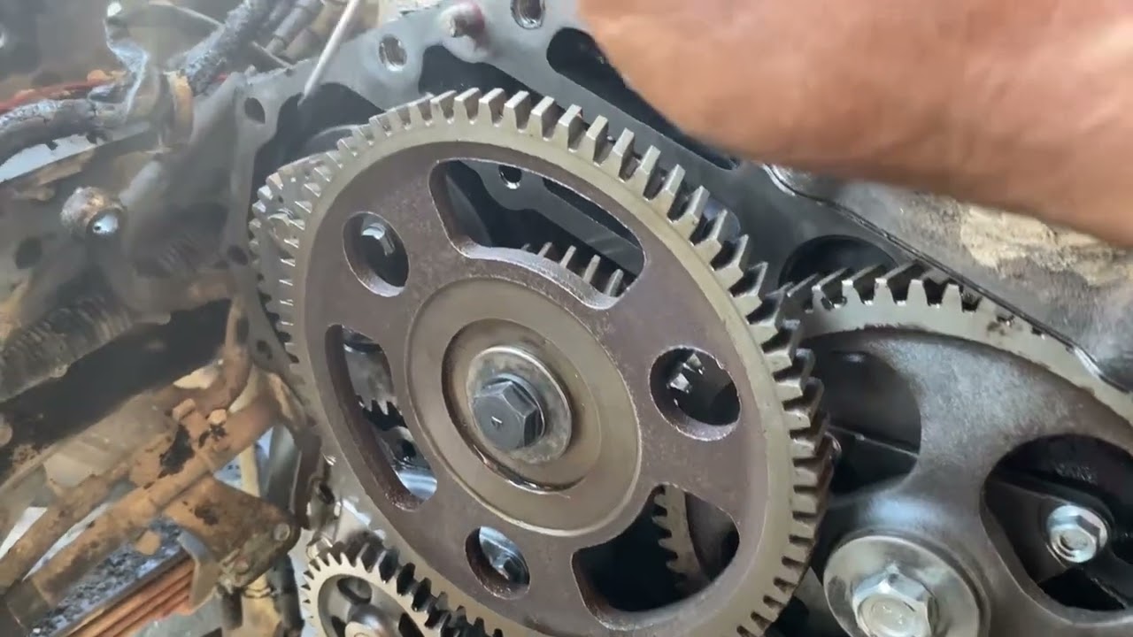 Top gigi timing nkr 71 pemula wajib tau