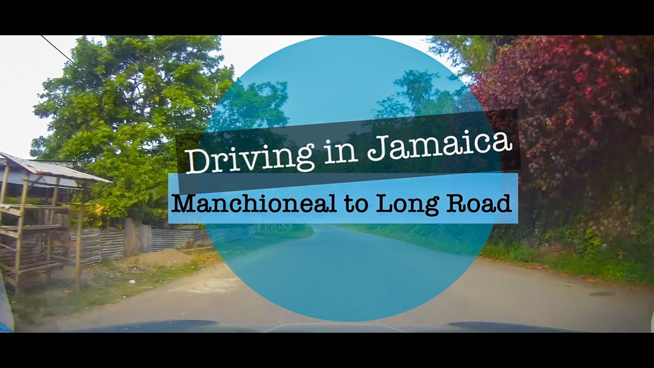 Driving in Jamaica - Manchioneal to Long Road Portland Parish