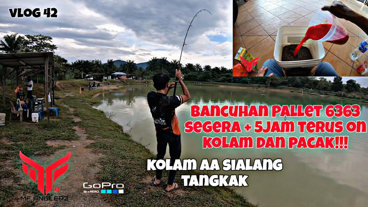 SUKATAN PERISA DAN AIR UNTUK BANCUH PALLET 6363 MAIN SEGERA | SANTAI KOLAM AA SIALANG  #VLOG42