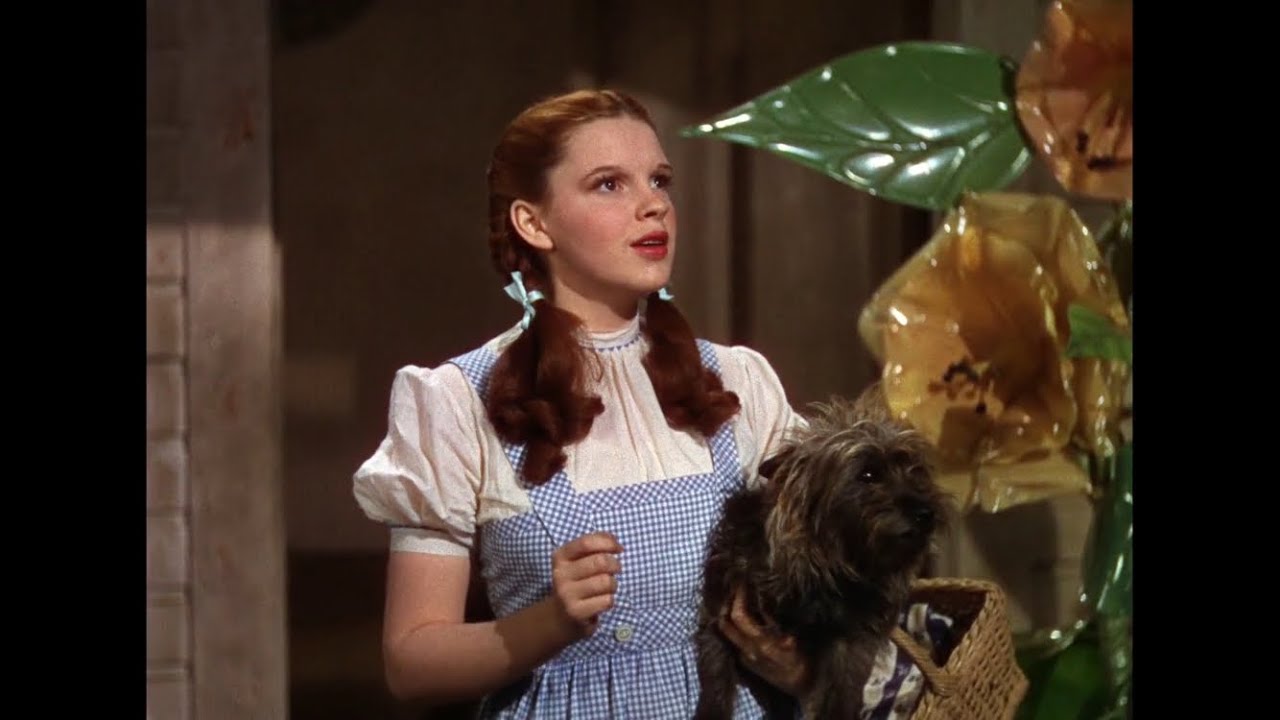 The Wizard of Oz (1939) aesthetic scenepack 👠🌪🪄