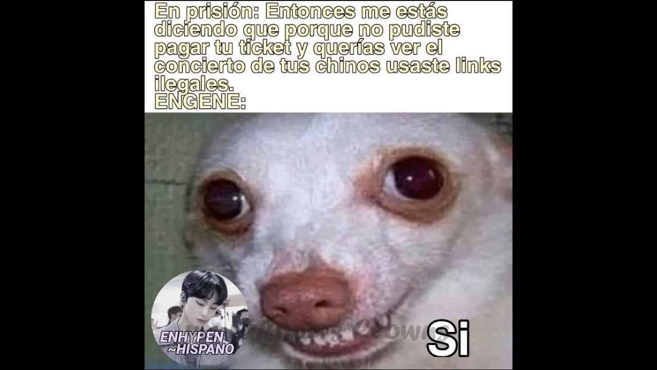 MEMES DE ENHYPEN 2021 #1 (EN ESPAÑOL)