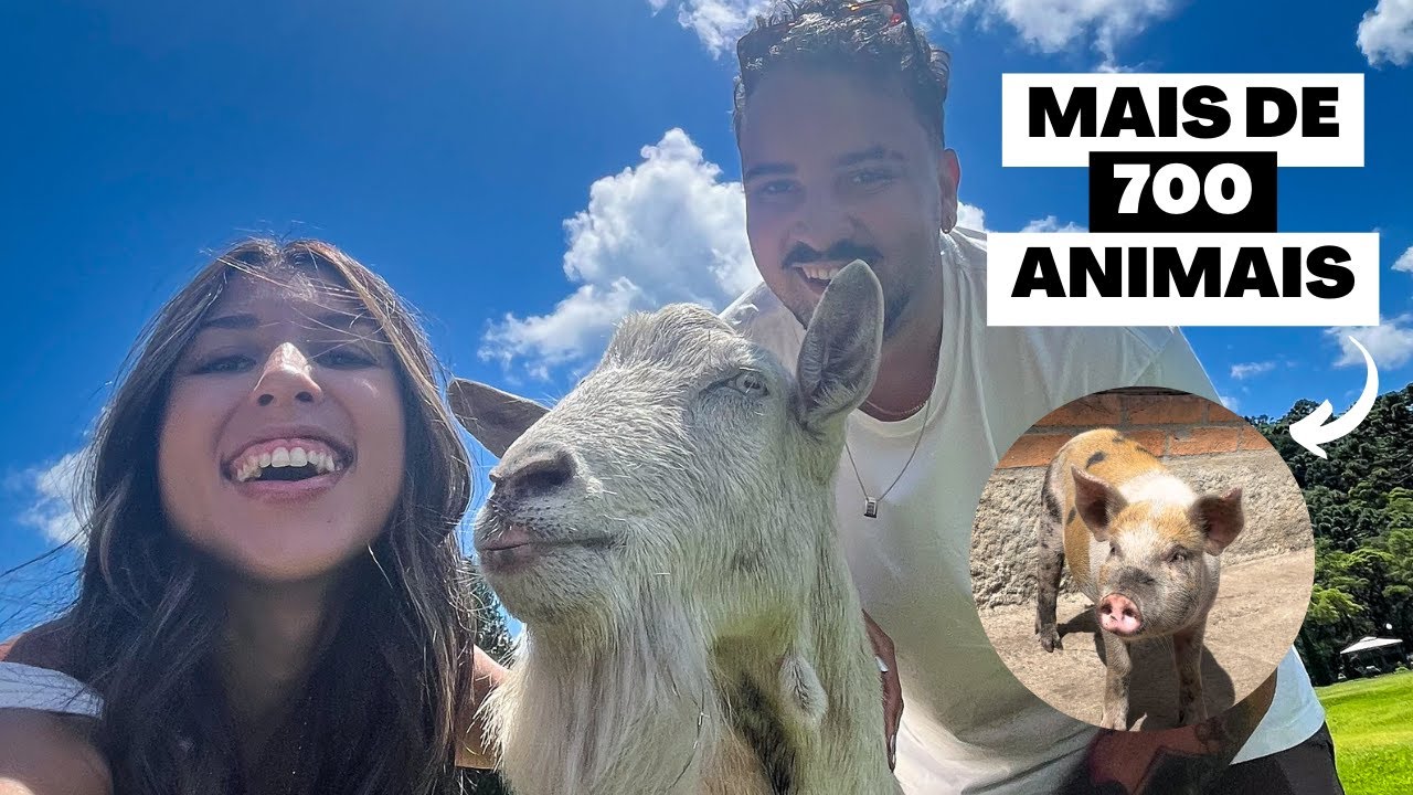 Conhecendo O Abrigo Da Pousada Röshler | 700 Razões Para Se Apaixonar ❤️‍🩹