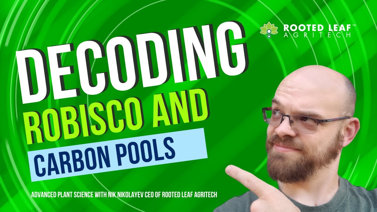 Learn about Rubisco and Carbon Pools