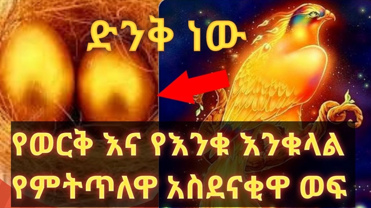 🔴🔴 ከርከቤዴል 