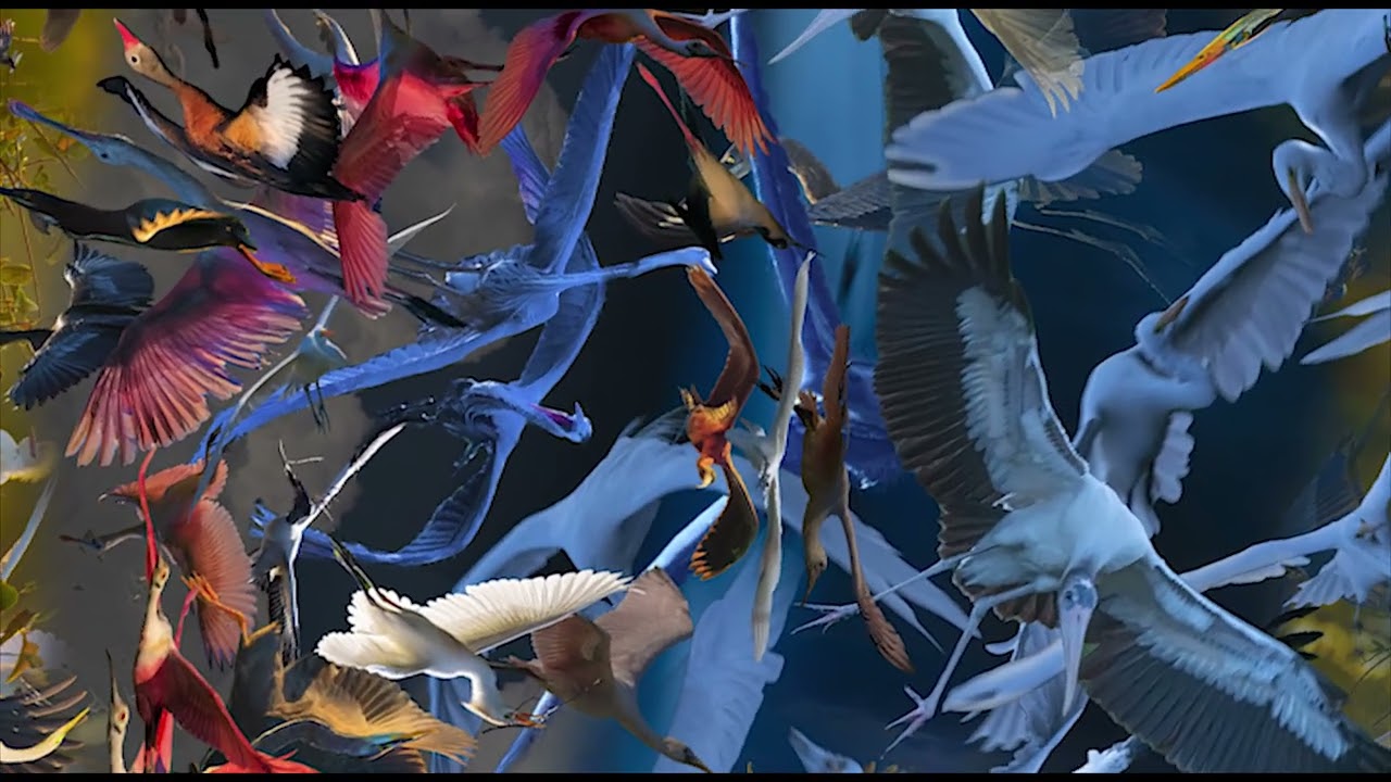 Aetherography by Meir Martin &ndash; Twisting Photography Into a New Art  2025 MM 0172 Video
